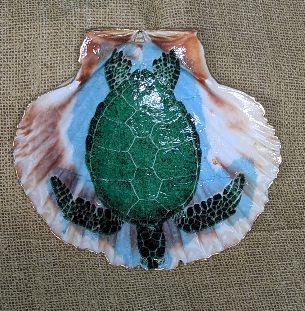 Hand Crafted Decoupaged Scallop Shell Turtle Diving On Natural Background 4.5x4 - Picture 3 of 6